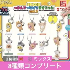 straykids つまんでつなげてますこっと　コンプリートセット　ミックス