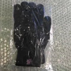 新品】AKB48 手袋　黒手袋　アイドル　軍手　アイドルグループ スマホ対応