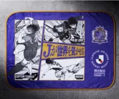 熱狂開幕ブランケット サンフレッチェ広島