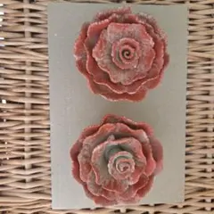 2025年最新】田中恒子の人気アイテム - メルカリ