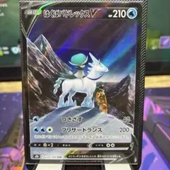 【A】はくばバドレックスV CSR S8b 220/184