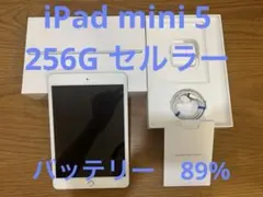 【美品】iPad mini 5 256GB Cellular バッテリー89%