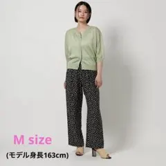 【美品】A DAY IN THE LIFE イージーワイドパンツ レオパード柄