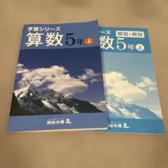 2026年最新】四谷大塚予習シリーズ 5年の人気アイテム - メルカリ