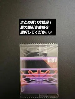 新世紀エヴァンゲリオン シールウエハース補完計画 第10使徒 サハクィエル