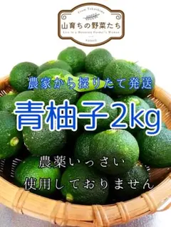 ゆず（青柚子）２kg＊収穫後発送＊農薬不使用＊徳島県13のサムネイル