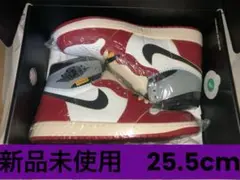 UNION × Nike Air Jordan 1 Chicago/Shadow