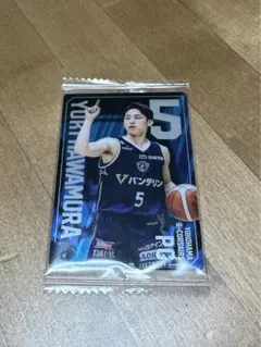 Item thumbnail for item d05191d2-608b-4764-8515-fc4091f865b7