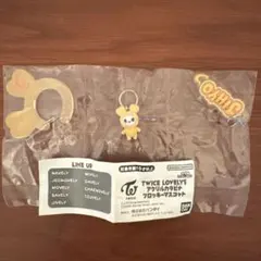 TWICE 壓克力掛飾 毛絨玩偶 志效