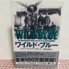 輸入盤DVD〉The Blues: A Musical Journey - メルカリ
