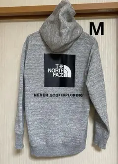 THE NORTH FACE バックスクエアロゴフーディ　　NT62040
