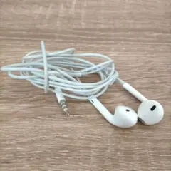 Item thumbnail for item 28c13336-0290-41b3-92a8-a9cd5747753e