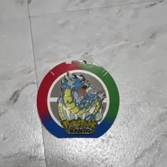 ポケパーク ピンバッジ ピンズ ギャラドス