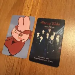 K-POP Stray Kids チャンビン　トレーディングカード　2種