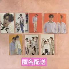 SEVENTEEN CARAT LAND 2021 トレカ ディノ パフォチ