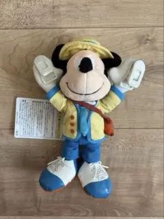 ⭐︎非売品⭐︎ディズニー　バケーションパッケージ　特典グッズ