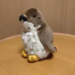 ty 雷鳥ぬいぐるみ　夏毛ヒナ　６きょうだい ty 雷鳥ぬいぐるみ 夏毛ヒナ 6きょうだい - メルカリ