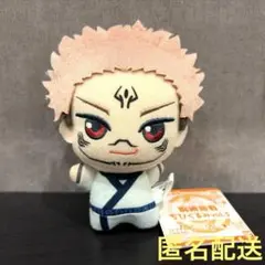 呪術廻戦 ちょぴぬい ぬいぐるみ 両面宿儺 - メルカリ