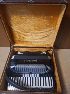 2025年最新】アコーディオンの人気アイテム - メルカリ