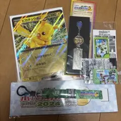 ピカチュウEXカードとスタンプラリー用ストラップセット