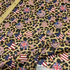 Item thumbnail for item 0d74a3a1-c434-4d6f-a369-9e9a065d82c7