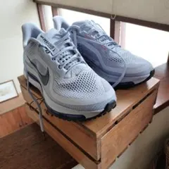 Nike ペガサスプレミアム　26cm