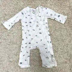 コンゲススロイド 50