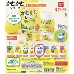 かむかむシリーズ　ミニチュアチャーム