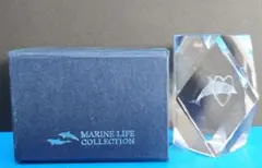 Marine Life Collection クリスタル 置物 イルカのサムネイル