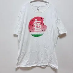 JERZEES プリントＴシャツ スイカ柄 半袖 XL 白 綿 ビッグサイズのサムネイル