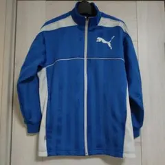PUMA 青 ストライプ ジュニアジャージ