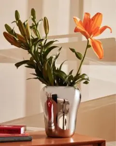 2026年最新】ALESSI 花瓶・花器・フラワーベースの人気アイテム - メルカリ