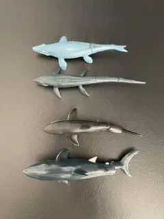 アニア　シャークフィギュア 4体セット