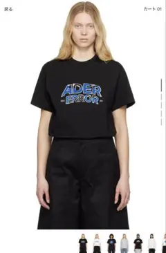 ADER error/アーダーエラー