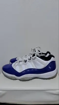 NIKE AIR JORDAN 11 concord sketch 25cm
