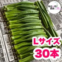 夏野菜 【高知県産オクラ】Lサイズ 30本 産地直送 野菜 Mppのサムネイル