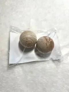 Item thumbnail for item 50516090-b707-4271-b1e0-9f750fe324b3