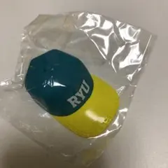 数原龍友　キャップチャーム