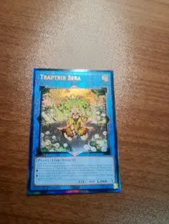 Item thumbnail for item c751b975-4277-4f8f-b57e-11e529e0aebf