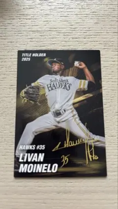 プロ野球チップス モイネロ トレーディングカード 35