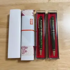 Item thumbnail for item 3176e3b9-8089-4028-8ccc-fad6afbf6ac8