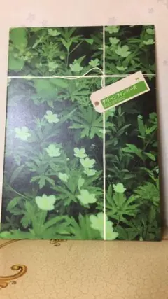 嵐・相葉雅紀主演舞台『グリーンフィンガーズ』パンフレット