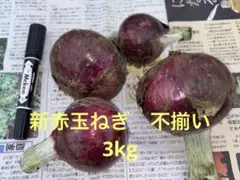 赤玉ねぎ 不揃い　3kgのサムネイル