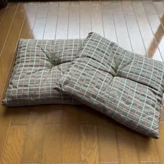 Item thumbnail for item 8dac5df9-dd3b-4645-9de4-5e284658ecd7