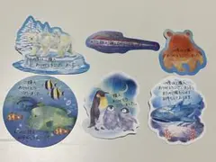 サンキューカード　海の生き物