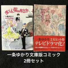【おかち様専用】一条ゆかり「おいしい男の作り方」文庫版(1冊バラ売りに組み直し)