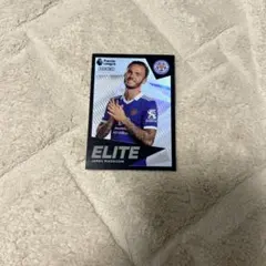 Item thumbnail for item c0a0bf08-913f-49ef-9370-cd23f159c3f0