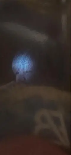 BE:FIRST MANATO 映画 入場特典 生コマフィルム