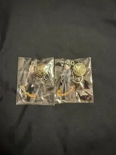 ハリーポッター ハーマイオニー トム リドル アクリルチャーム アクキー