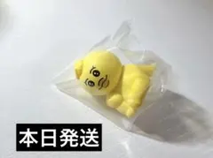 おぱんちゅうさぎ　んぽちゃむ　まちぼうけ　きみまろ